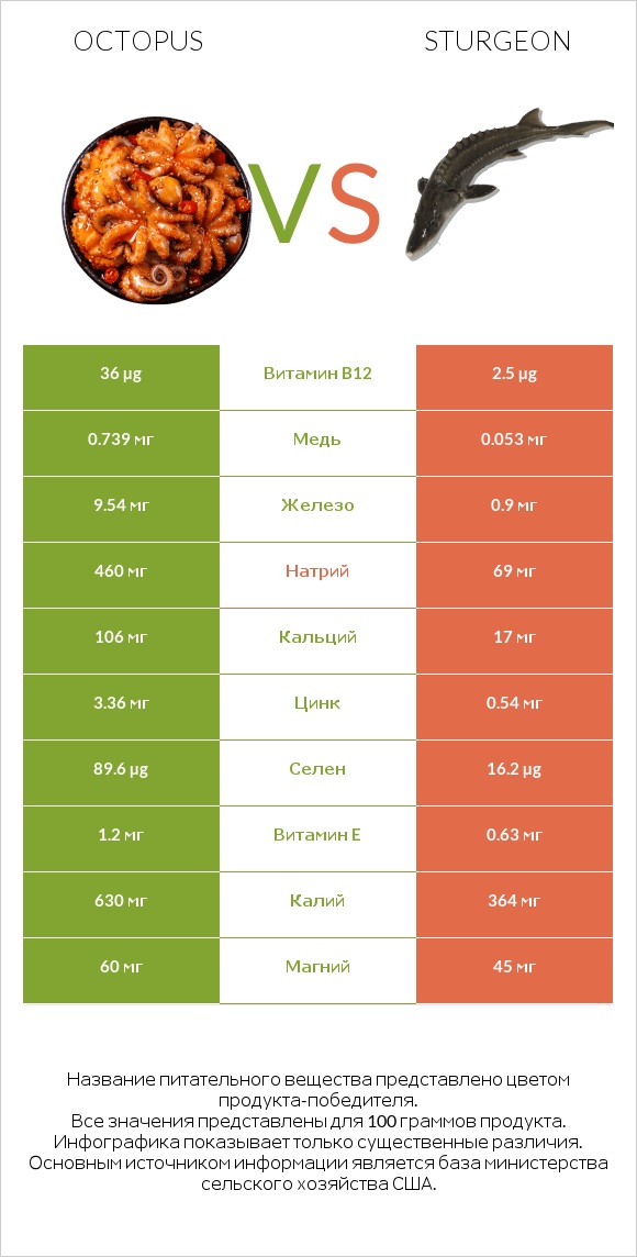 Octopus vs Sturgeon infographic
