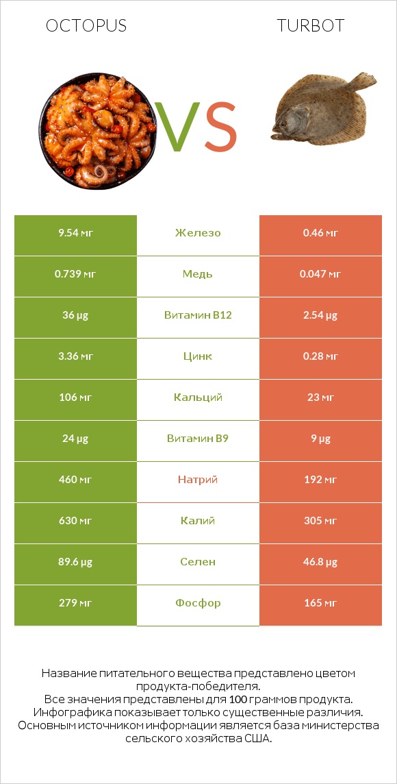 Octopus vs Turbot infographic