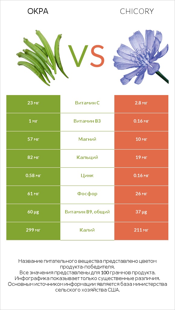 Окра vs Chicory infographic