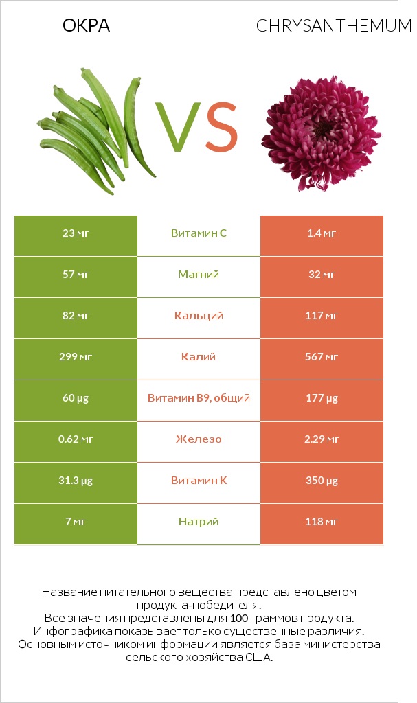 Окра vs Chrysanthemum infographic