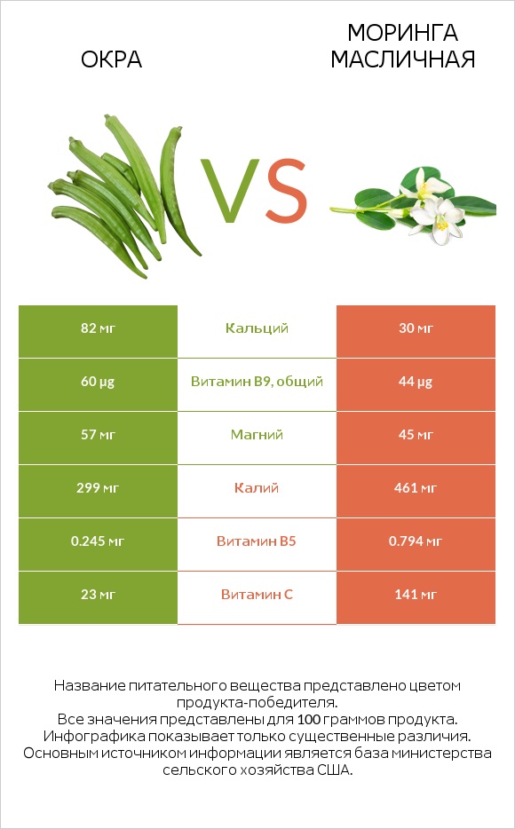 Окра vs Моринга масличная infographic