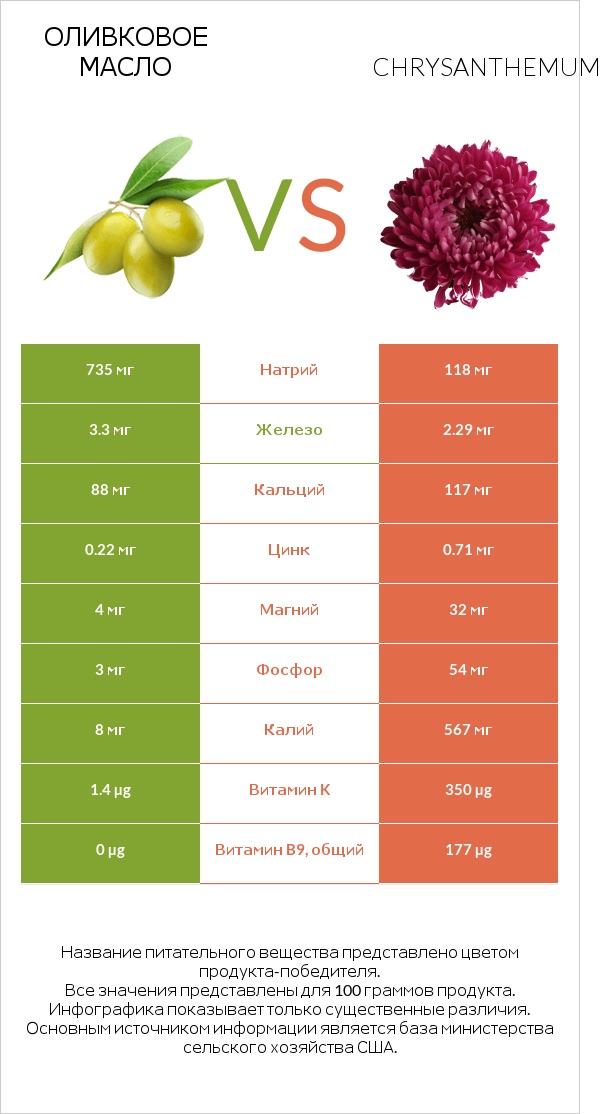 Оливковое масло vs Chrysanthemum infographic