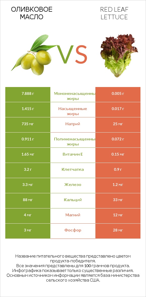 Оливковое масло vs Red leaf lettuce infographic