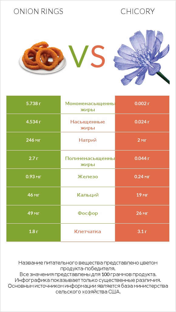 Onion rings vs Chicory infographic