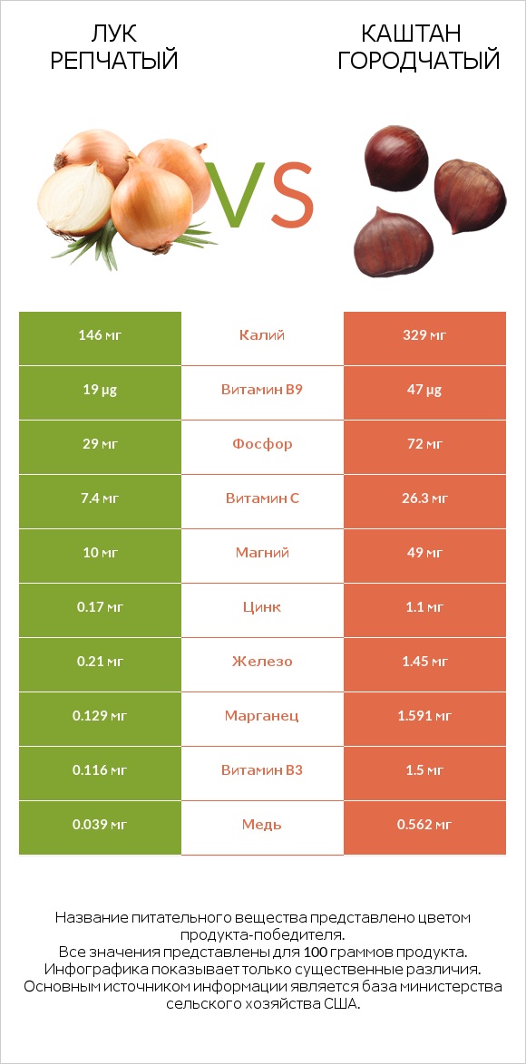 Лук репчатый vs Каштан городчатый infographic
