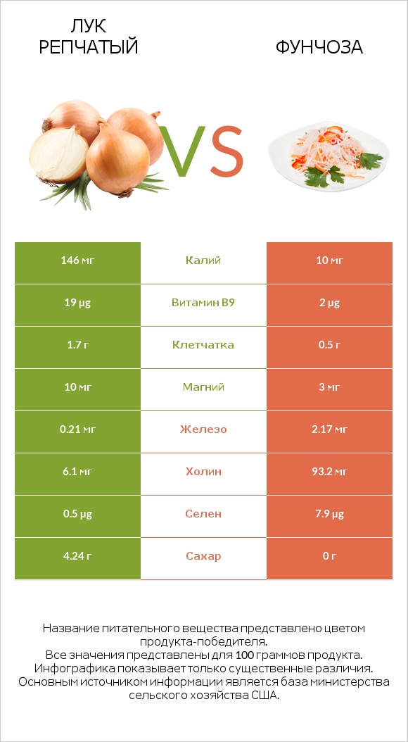 Лук репчатый vs Фунчоза infographic