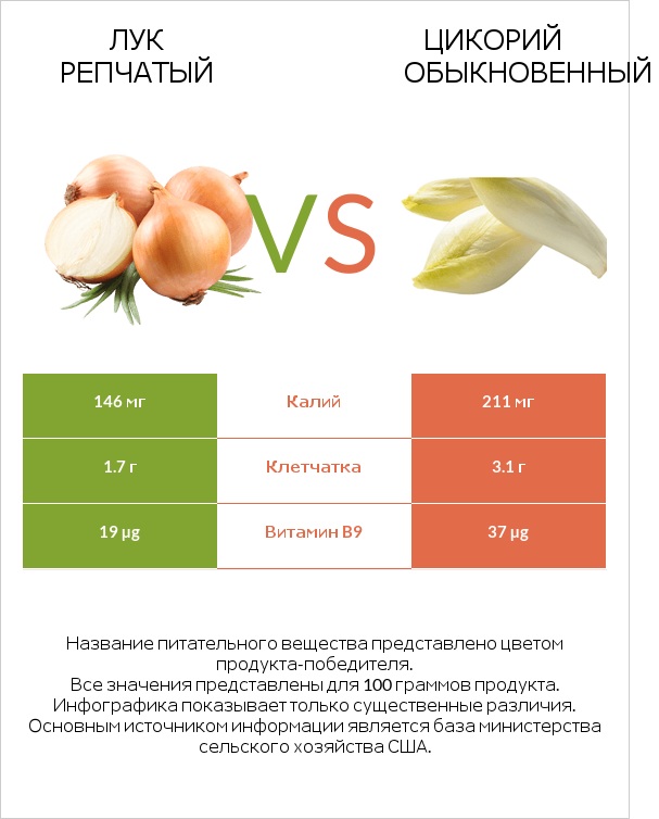 Лук vs Chicory infographic