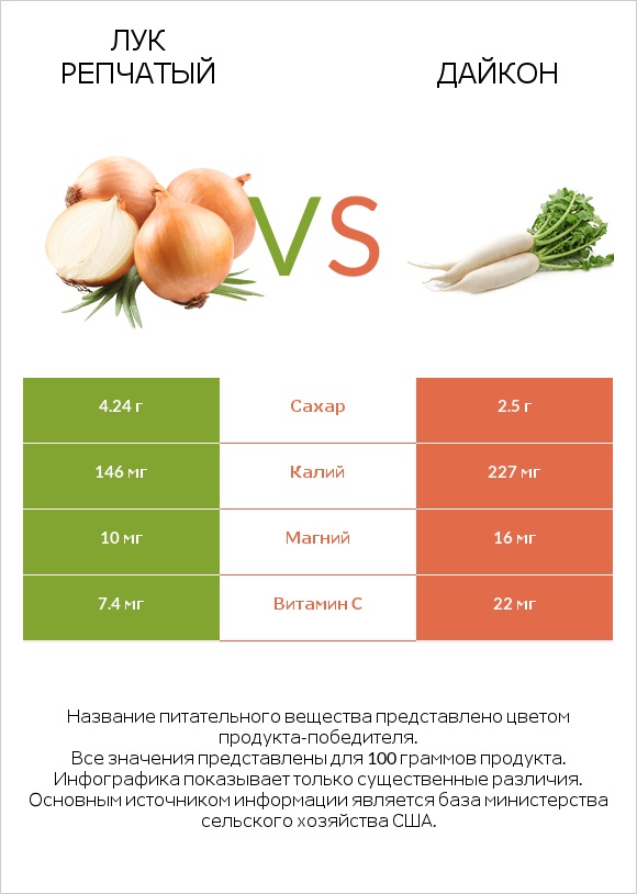 Лук vs Дайкон infographic