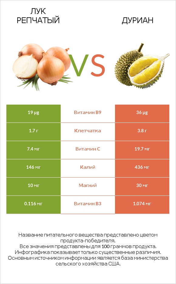 Лук репчатый vs Дуриан infographic