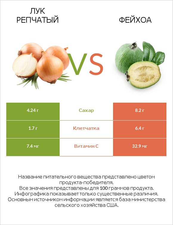 Лук репчатый vs Фейхоа infographic