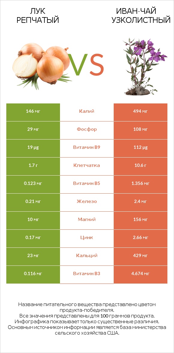 Лук репчатый vs Иван-чай узколистный infographic