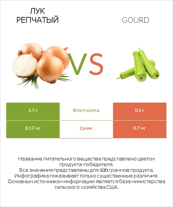 Лук репчатый vs Gourd infographic