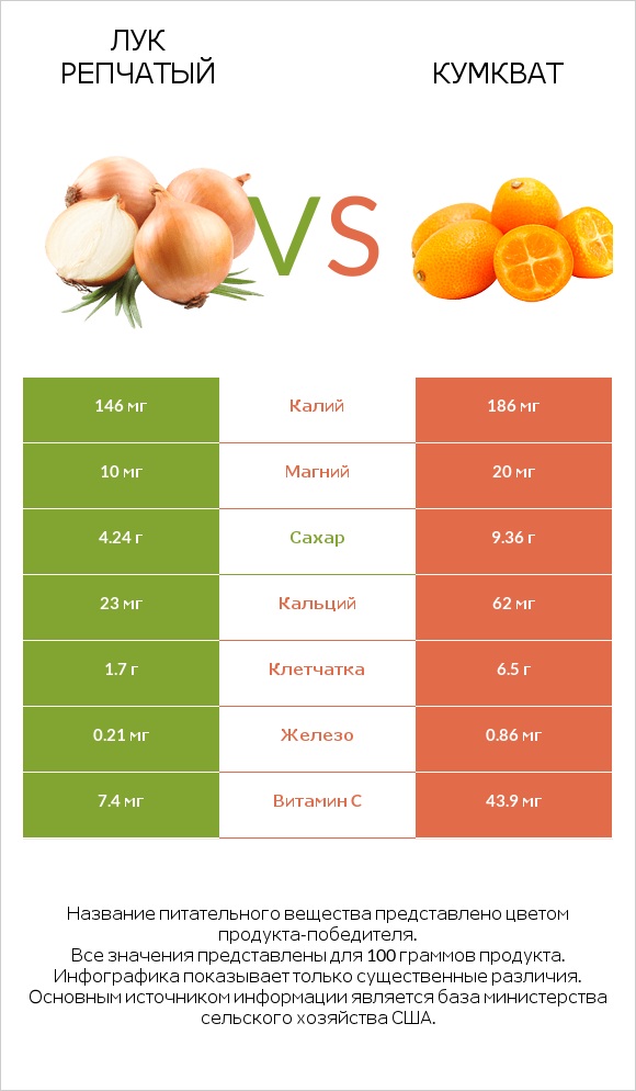 Лук репчатый vs Кумкват infographic