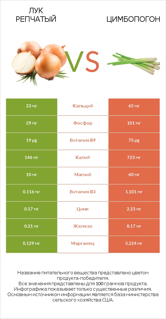 Лук репчатый vs Цимбопогон infographic