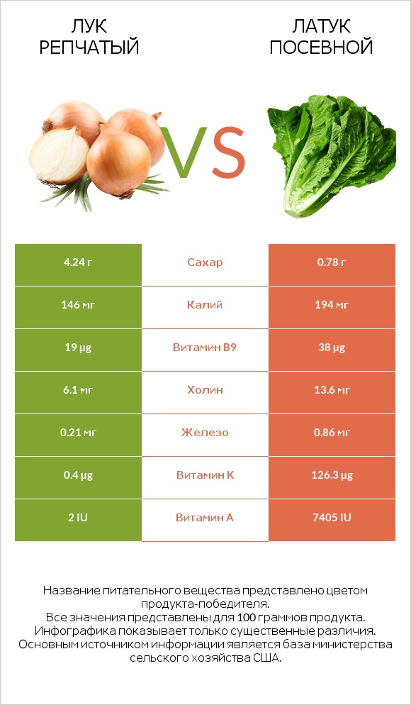 Лук репчатый vs Латук посевной infographic