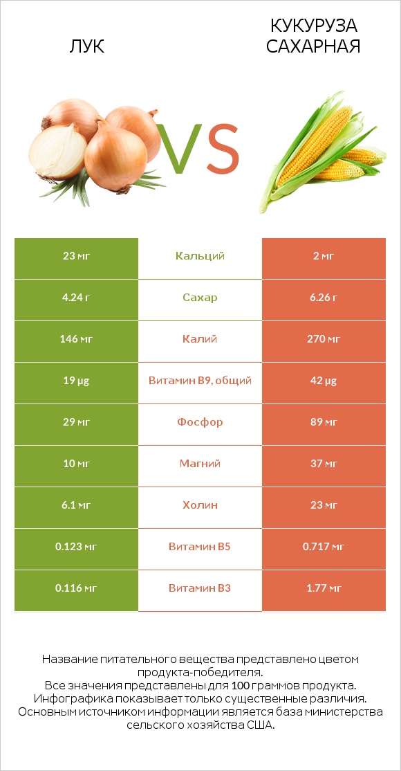 Лук vs Кукуруза сахарная infographic
