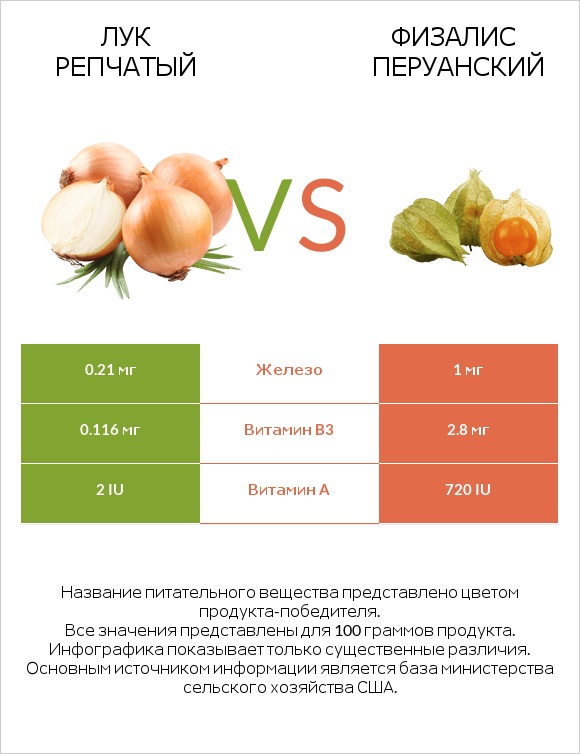 Лук репчатый vs Физалис перуанский infographic