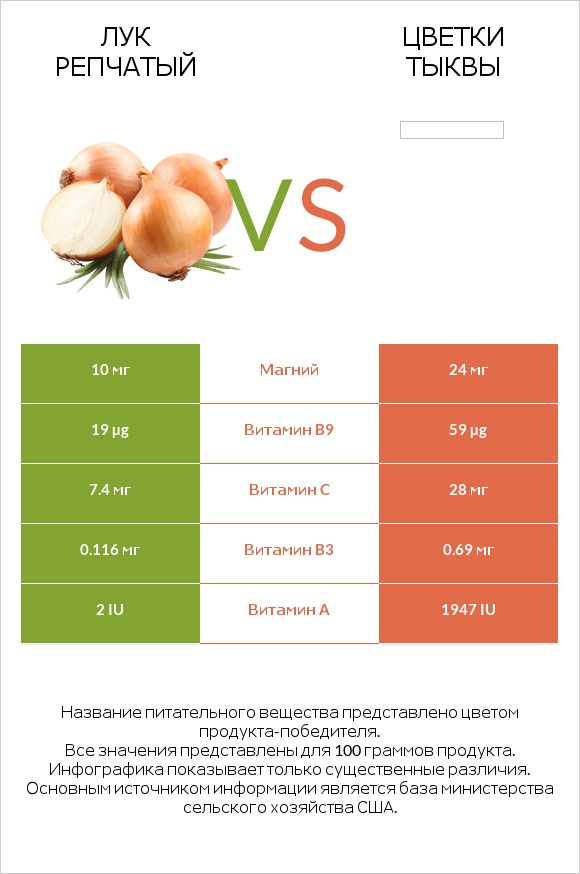 Лук репчатый vs Цветки тыквы infographic