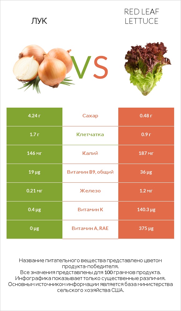 Лук vs Red leaf lettuce infographic
