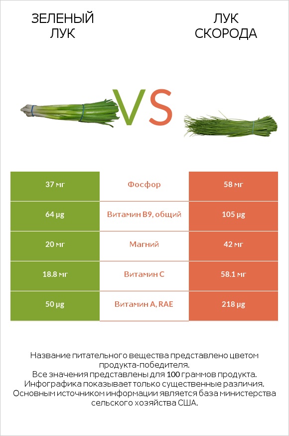 Зеленый лук vs Лук скорода infographic