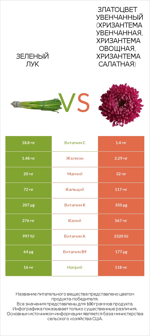 Зеленый лук vs Златоцвет увенчанный (хризантема увенчанная, хризантема овощная, хризантема салатная) infographic