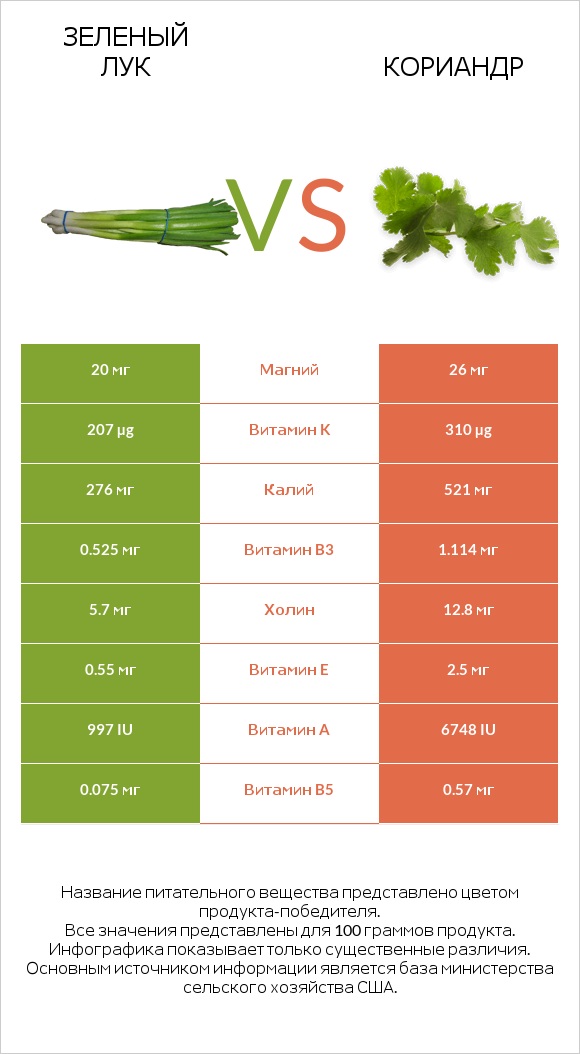 Зеленый лук vs Кориандр infographic