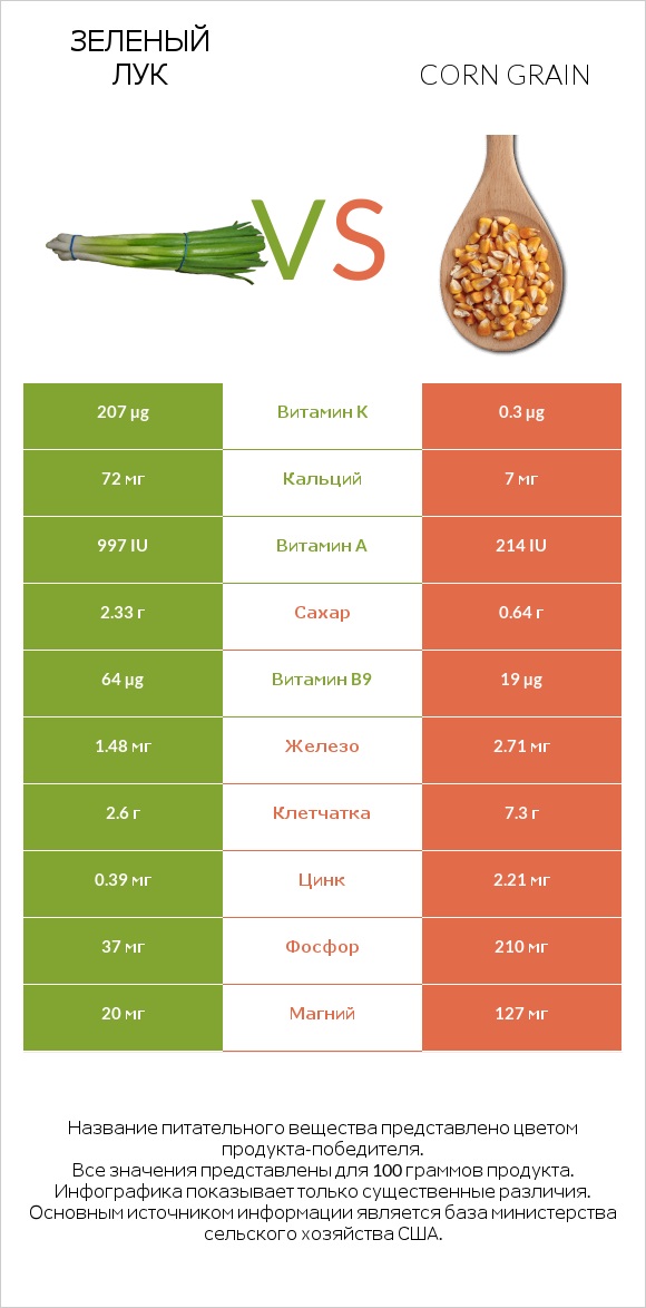 Зеленый лук vs Corn grain infographic