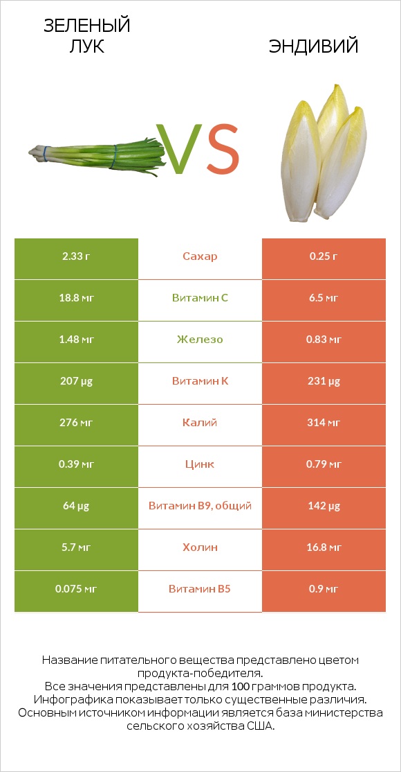 Зеленый лук vs Эндивий infographic