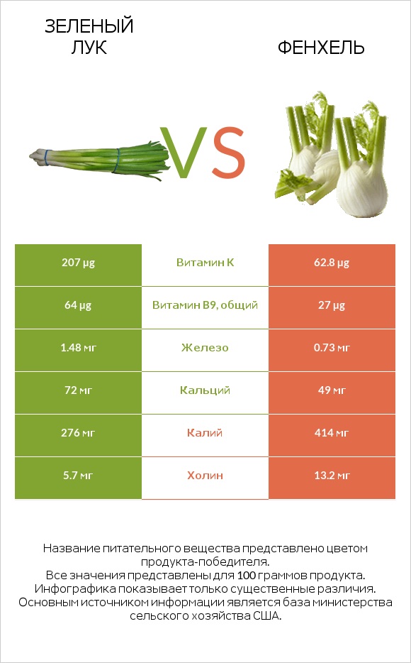 Зеленый лук vs Фенхель infographic