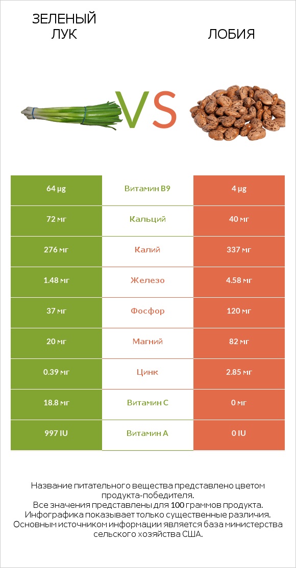 Зеленый лук vs Лобия infographic
