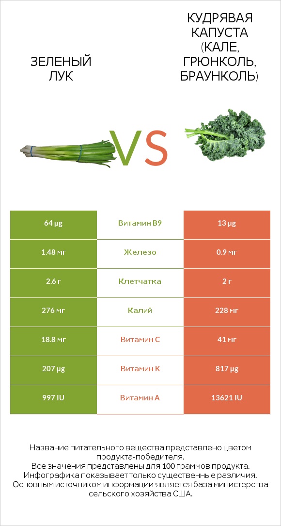 Зеленый лук vs Кудрявая капуста (кале, грюнколь, браунколь) infographic