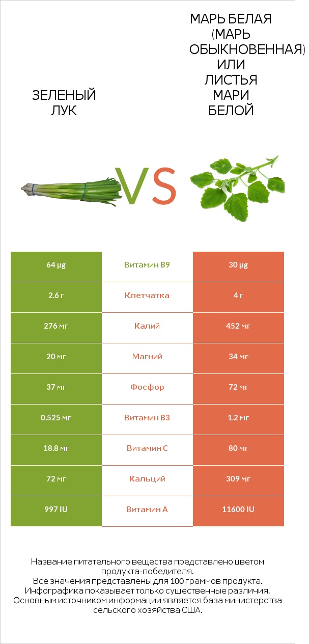 Зеленый лук vs Марь белая (Марь обыкновенная) или Листья мари белой infographic