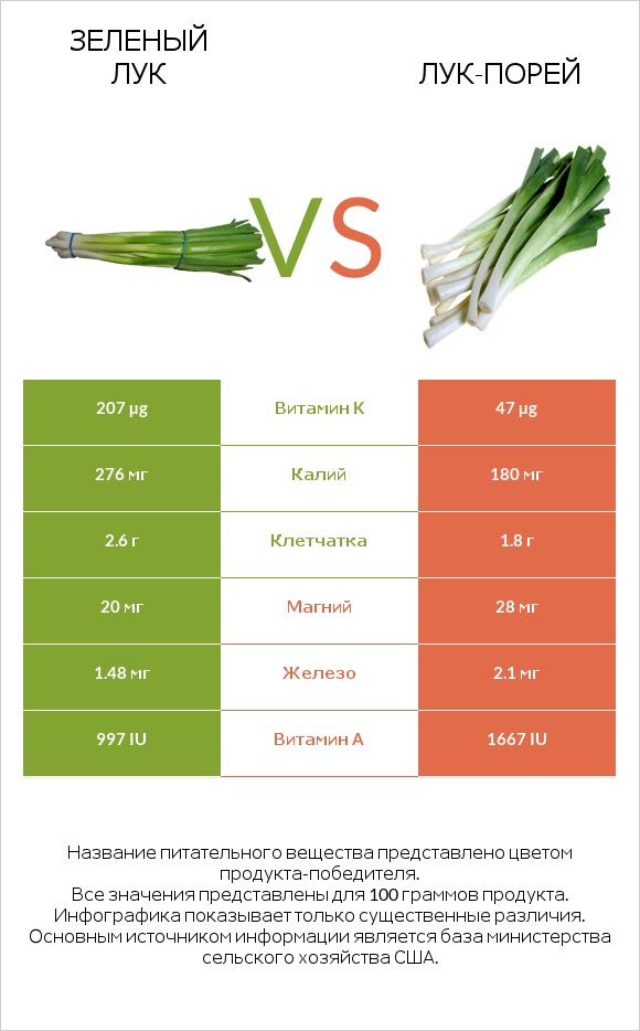 Зеленый лук vs Лук-порей infographic
