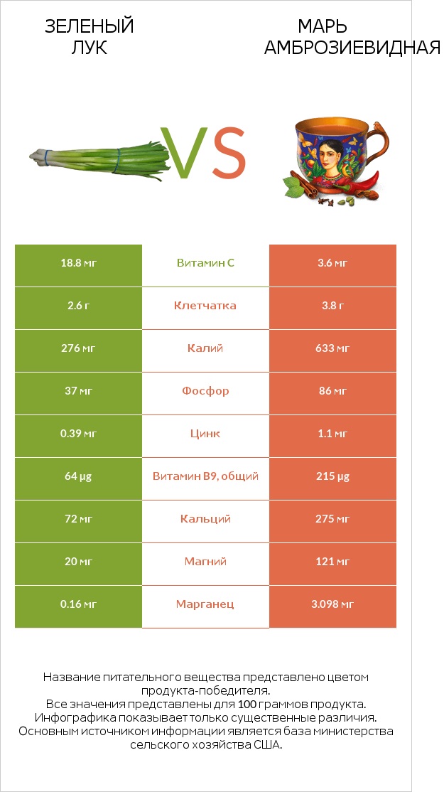 Зеленый лук vs Марь амброзиевидная infographic