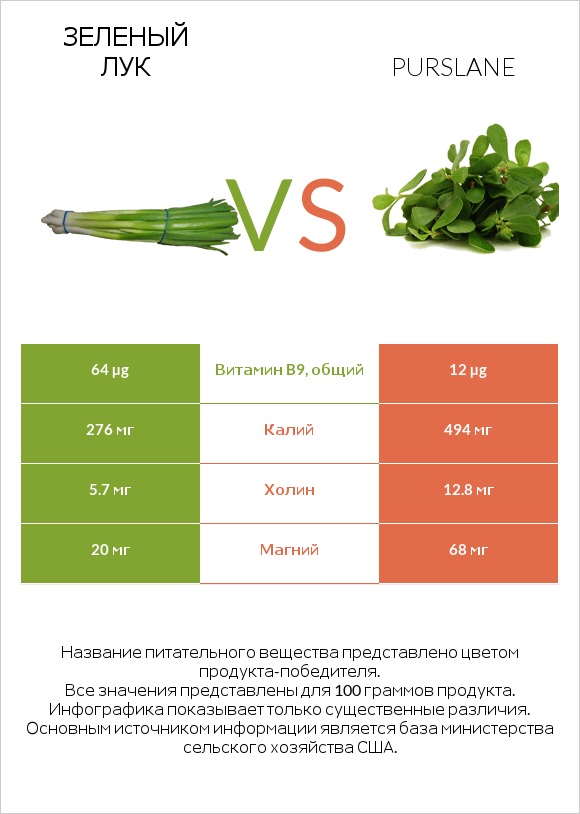 Зеленый лук vs Портулак огородный infographic