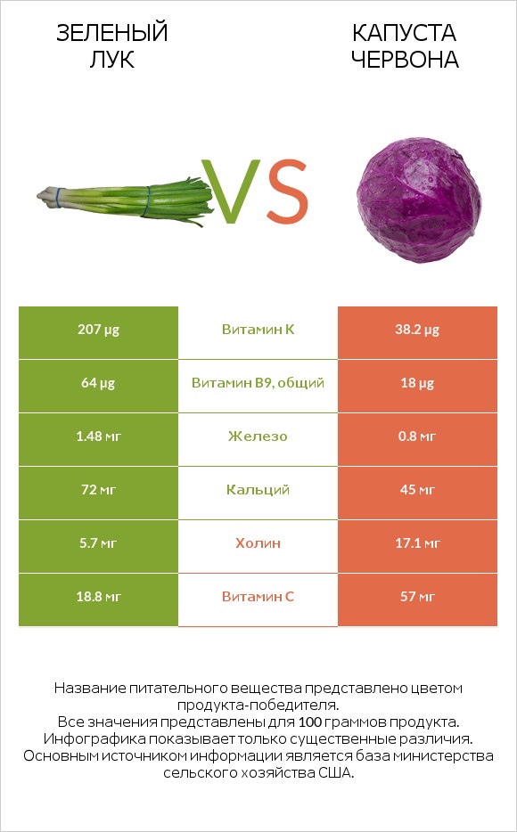 Зеленый лук vs Капуста червона infographic