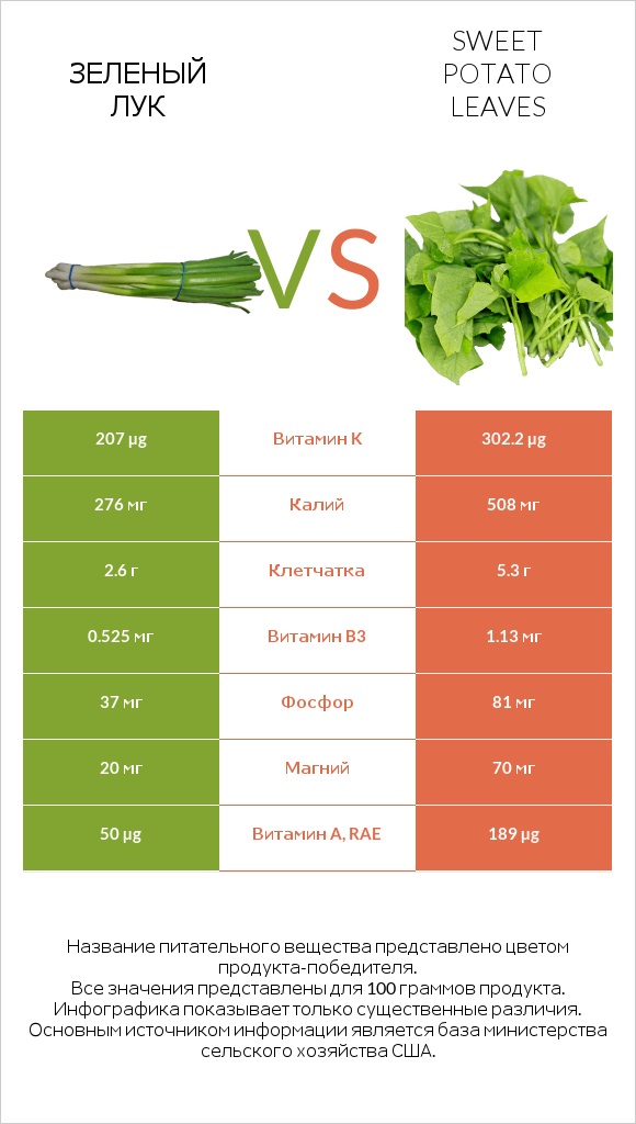 Зеленый лук vs Листья сладкого картофеля infographic