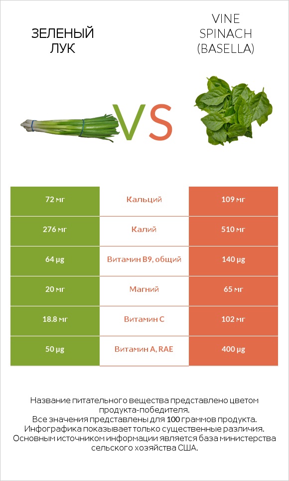 Зеленый лук vs Базелла белая infographic