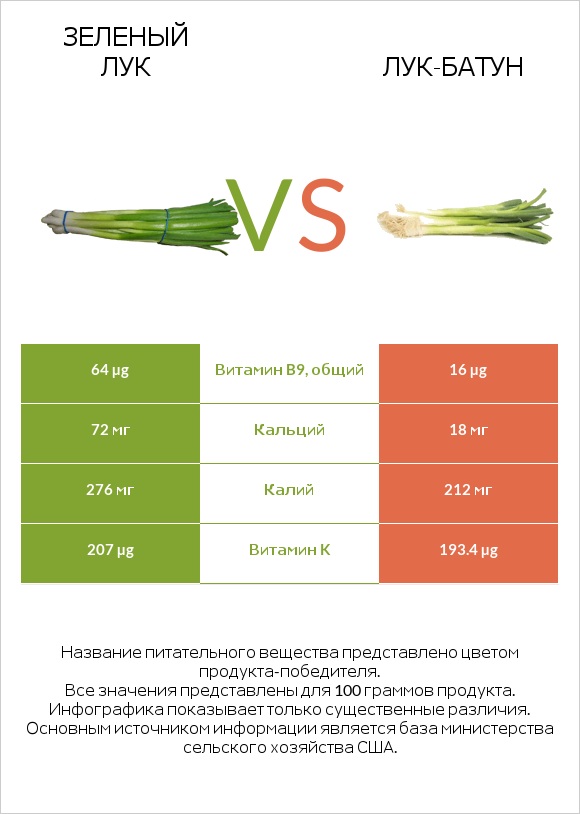 Зеленый лук vs Лук-батун infographic