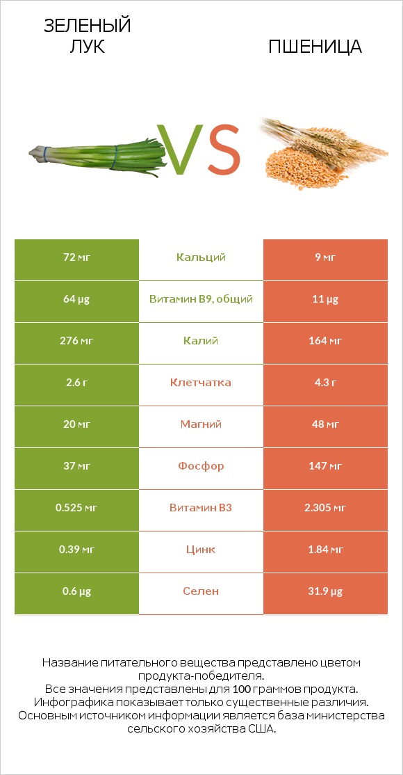 Зеленый лук vs Пшеница infographic
