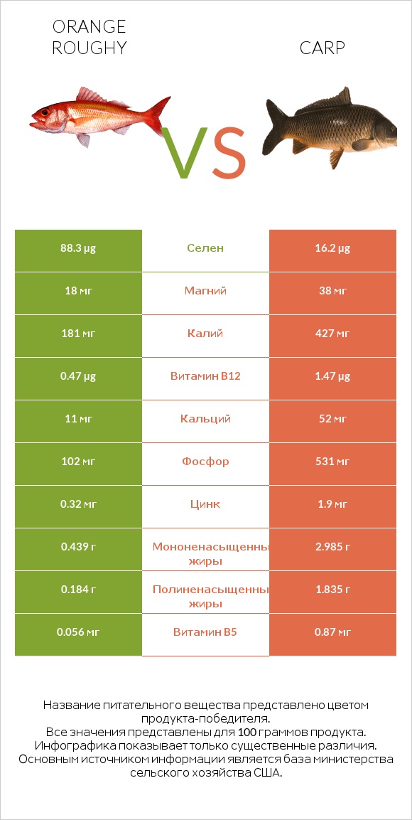 Orange roughy vs Carp infographic