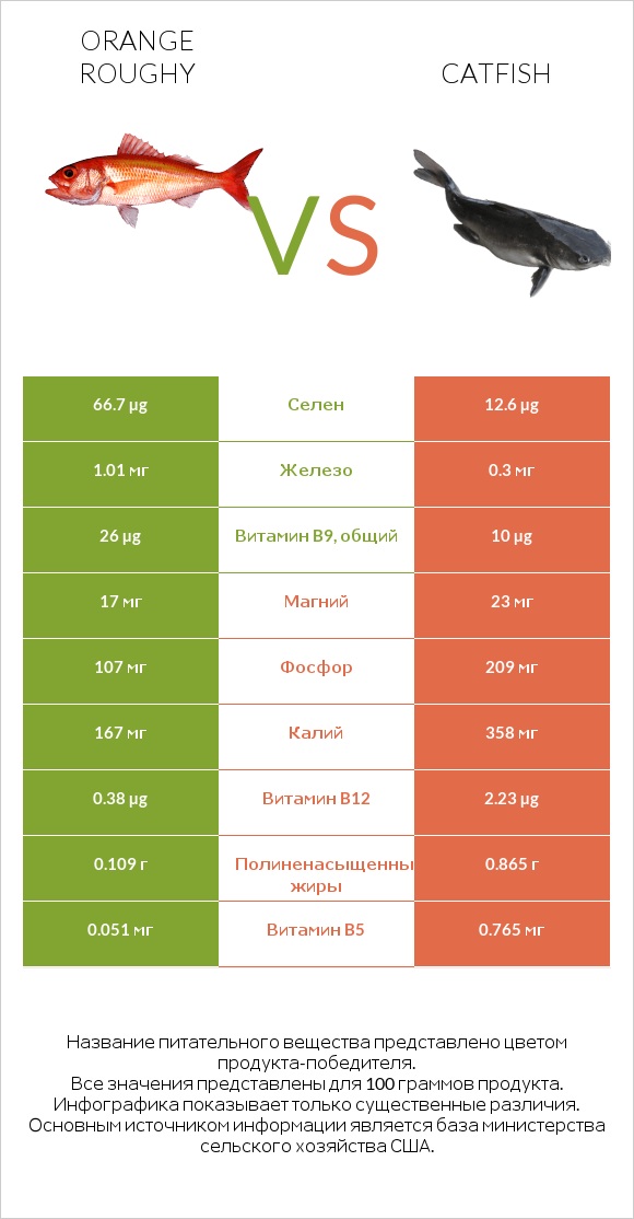 Orange roughy vs Catfish infographic