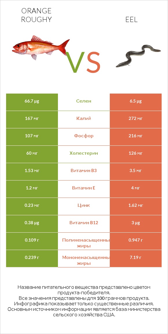 Orange roughy vs Eel infographic