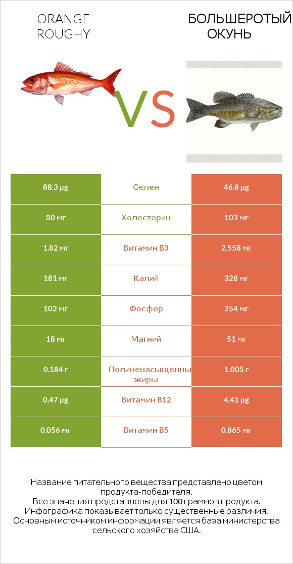 Orange roughy vs Большеротый окунь infographic