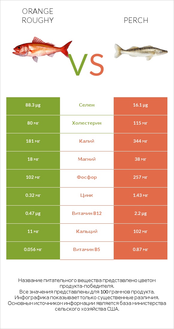 Orange roughy vs Perch infographic