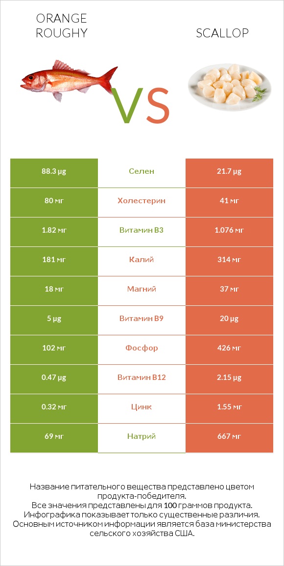 Orange roughy vs Scallop infographic