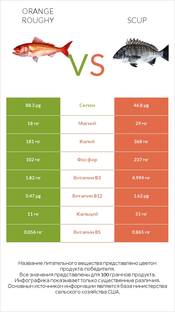 Orange roughy vs Scup infographic