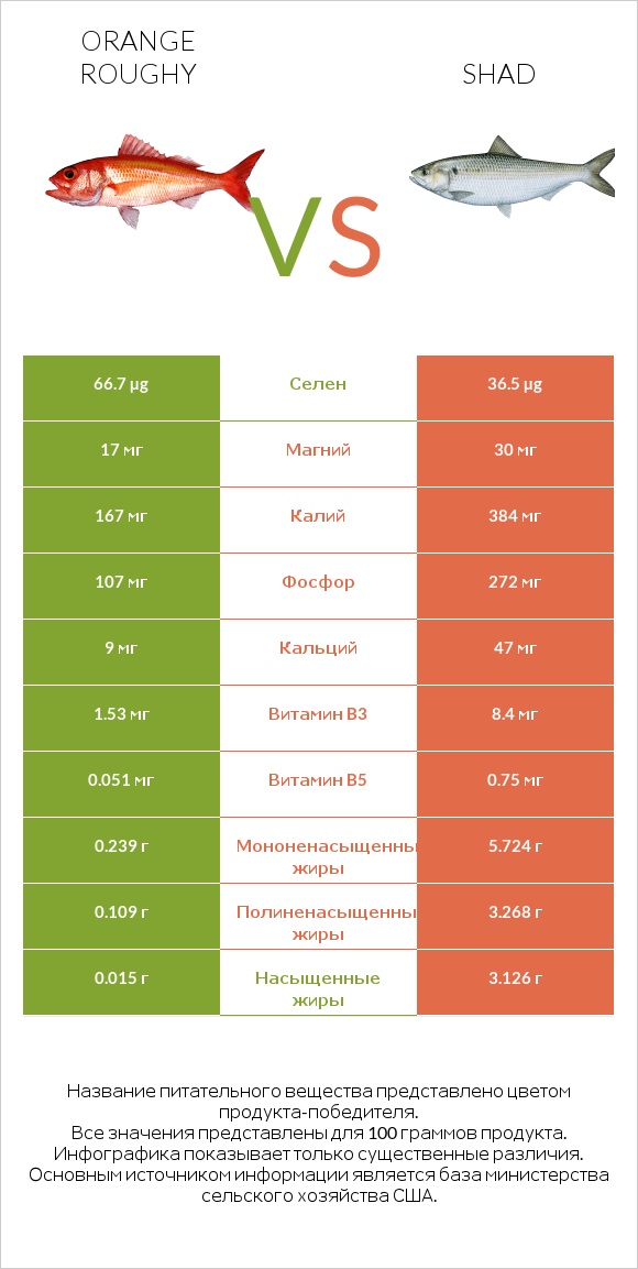 Orange roughy vs Shad infographic