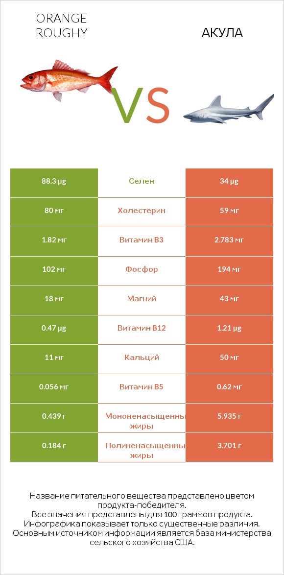 Orange roughy vs Акула infographic