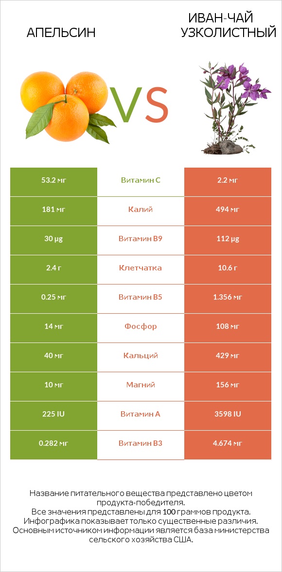 Апельсин vs Иван-чай узколистный infographic